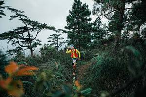 BIB: 
                            <button type="button" onclick="openModal(25260425)" class="btn btn-primary btn-sm float-right btn-popup" data-toggle="modal" data-target=".modal-high-quality">
                        <i class="fas fa-shopping-cart"></i> Add to Cart
                    </button>
                                            <button type="button" onclick="isThisMe(25260425, true)" class="btn btn-success btn-sm float-right btn-popup btn-isme hidden" data-toggle="tooltip" data-placement="bottom" title="นี่คือรูปของคุณใช่ไหม คลิกที่นี่เพื่อเอาเข้าอัลบั้ม">
                        <i class="fas fa-plus"></i> Add to album
                    </button>
                    <button type="button" onclick="isThisMe(25260425, false)" class="btn btn-warning btn-sm float-right btn-popup btn-isnotme hidden">
                        <i class="fas fa-ban"></i> Remove from album
                    </button>